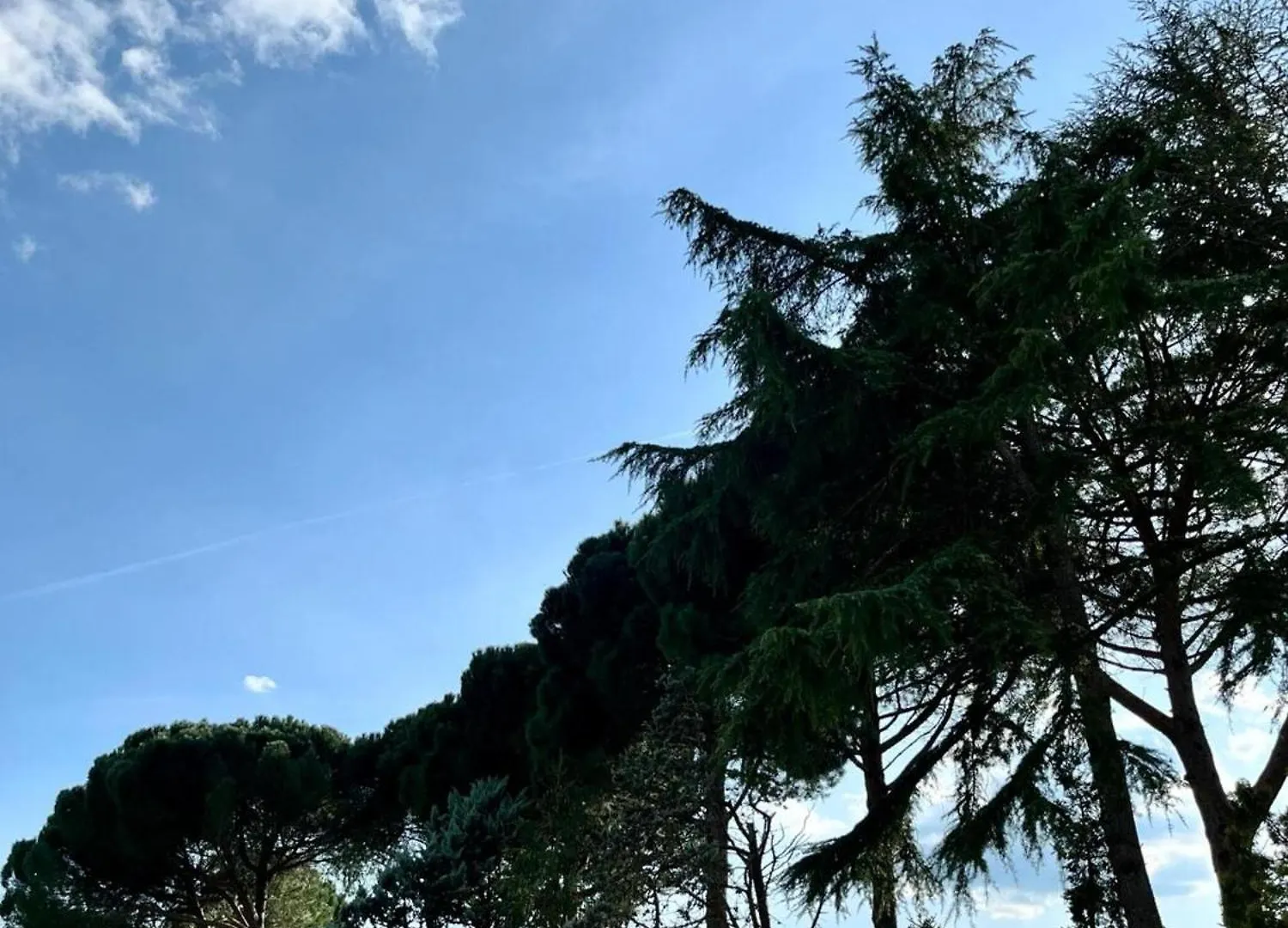 Casale Collecchio Siena Apartment Italy